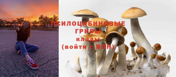 героин Алексин