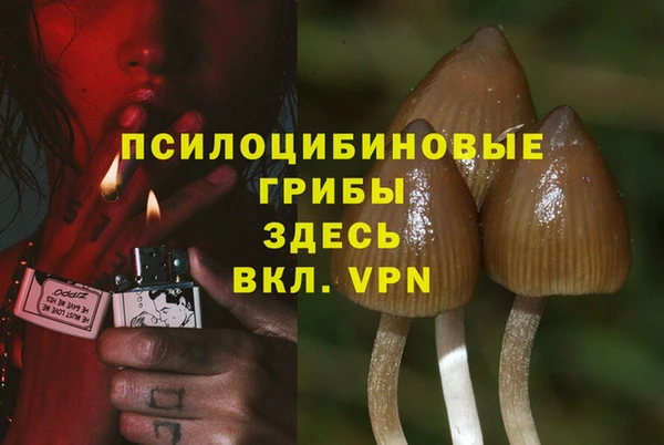 героин Алексин